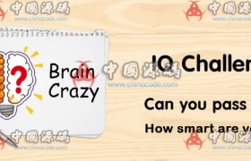 《Brain Crazy IQ Challenge Puzzle》源码