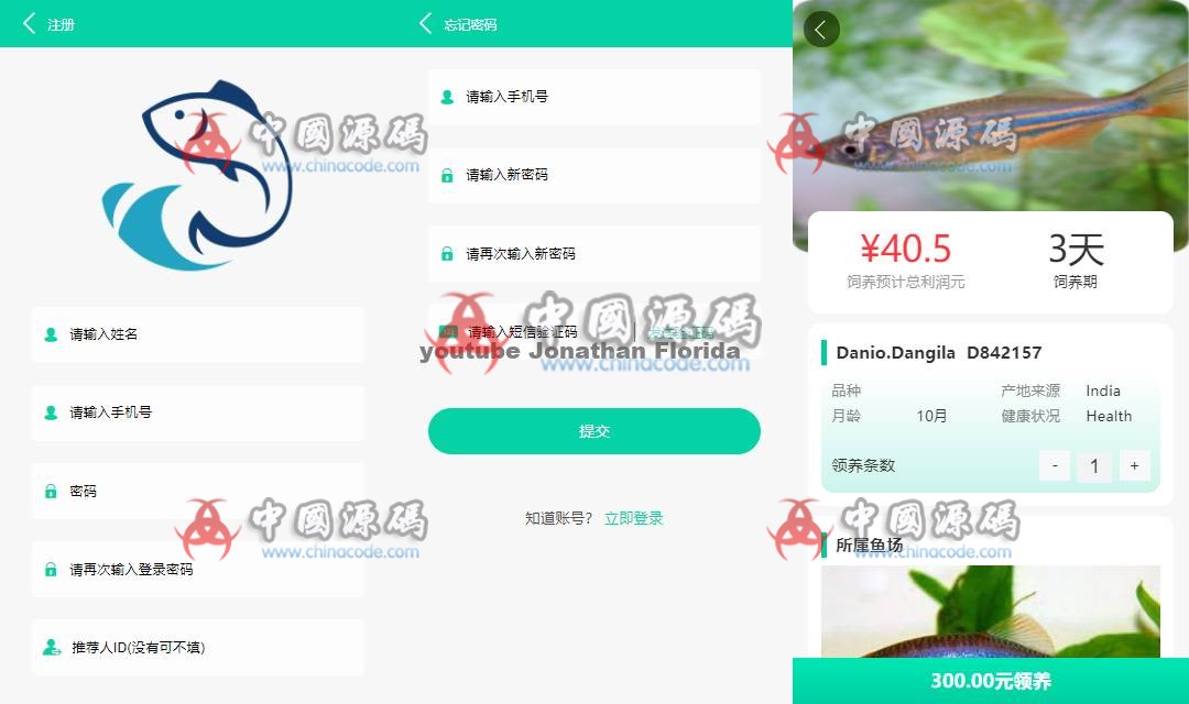 养鱼金融投资理财源码+中英文双语 网站-第2张