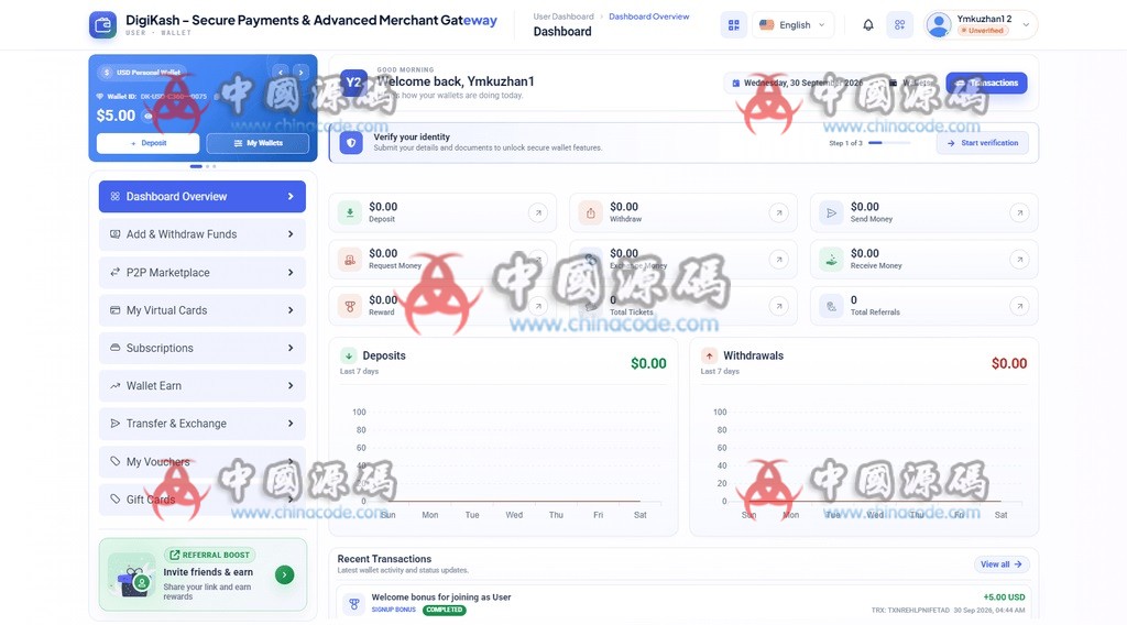 DigiKash数字钱包支付网关源码+虚拟卡+商户代理系统 网站-第2张